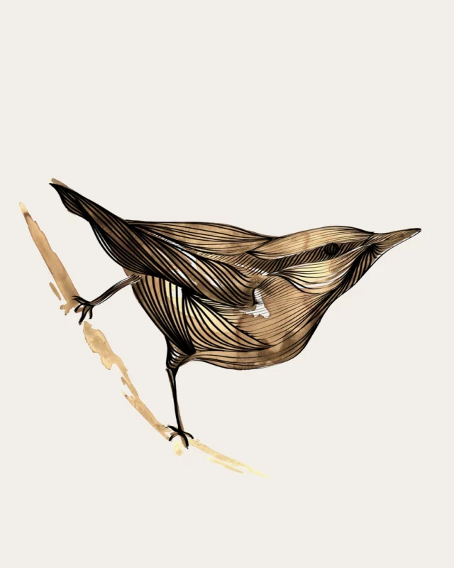Les oiseaux, entre récit et vannerie. 
[projection d'ateliers, entre recherches & créations] 

C’est un projet imaginé sous forme d’ateliers participatifs et d’échanges articulés avec des temps de recherches et de créations personnelles. Pensé pour des écoles rurales comme urbaines, ce projet invite à ralentir, observer, faire avec ce qui pousse autour, pour créer ensemble des formes utiles et collectives.

Observer les oiseaux, écouter leurs histoires, comprendre leurs besoins pour mieux cohabiter : tel est le point de départ de ce projet mêlant art, environnement et transmission. Au sein d'écoles, j'aimerais inviter à suivre les traces des oiseaux du territoire, à dessiner leur plumage, imaginer leurs trajets, construire pour eux des abris tressés de fibres locales. Dessiner d’après observation puis, à partir d’osier, de ronces, de feuilles de plantain, s'initier à la vannerie, un geste ancien au service du présent : fabriquer des nichoirs, fonctionnels et sculpturaux, à installer dans la cour d'école ou le quartier.

L'intention serait ensuite de prolonger cette exploration en récits et en formes : faire naître des fresques sur les murs de l’école, nourries des dessins et des histoires inventées collectivement, encres naturelles à la main – rouille, argile, végétaux. La transmission reposerait ici sur la co-expérimentation. Explorer une pratique sculpturale de la fibre végétale, s'initier au grand format de la fresque, raconter l’existant avec des gestes simples, partagés : entre fibres végétales locales et imaginaires partagés autour des espèces vivantes, l’intention est de tracer les traits d’un récit collectif inspiré de ces formes de vie, pour ensuite le transposer en volume par le tressage, entre sculpture et installation.

Pour plus de productions de vannerie :
https://charlotteayrault.fr/rencontres/saule/

Pour découvrir des projections de fresques :
https://charlotteayrault.fr/rencontres/fresques/

#vannerie #récit #oiseaux #sculpture #nichoirs #atelier #fresques #projection #fibres #design #art #recherches #création #dessin #observation #transmission #expérimentation #environnement