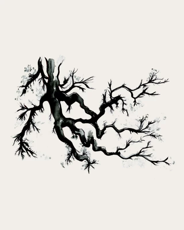 Dessins en itinérance.

[forêt d'huelgoat] 02.01.2024
[le poète ferrailleur] 01.01.2024
[renaissance en brocéliande] 03.01.2024
[glouglou omniprésents] 26.01.2024
[maquetter à neptune] 11.01.2024

Pour plus d'illustrations :
https://charlotteayrault.fr/illustrations/

#dessins #itinérance #récit #stylobic #aquarelle #végétal #forêt