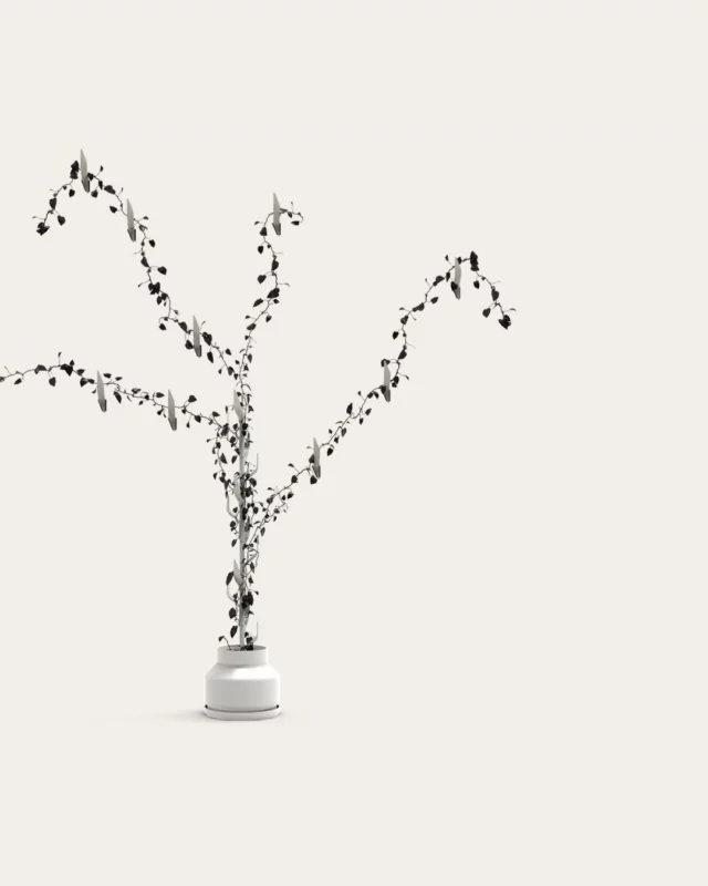 Skholè, 2021.
[design d'objets]

Ce projet naît d’une attention particulière à notre rapport au temps. En réaction à l’accélération, cet ensemble d’objets imagine un usage qui permet de réintégrer notre rythme biologique dans nos quotidiens en se (re)greffant à une temporalité végétale. L’intention est de s’affranchir d’une mesure cyclique du temps et de plutôt le considérer comme une continuité. Pour instaurer une habitude de lenteur liée aux réalités naturelles, j’oriente le dessein en articulation avec le végétal : des plantes épiphytes d’intérieures.

Suite à une phase de recherches qui se segmente selon deux axes, cultiver et observer, une intention se démarque et se développe : des modules qui permettent à la plante de s’étendre et d’occuper petit à petit l’espace, au rythme de sa croissance. D’abord sous forme de tuteurs qui s’emboîtent, puis ensuite sous forme de modules à fixer qui permettent à la plante de s’étendre sur le mur. La notion du temps devient visuelle et gestuelle.

Ces images sont consacrées à l’ensemble du dispositif et de son packaging, illustré avec de l’encre de chlorophylle.

Pour découvrir l'intégralité du projet : 
https://charlotteayrault.fr/rencontres/skhole/

#skholè #design #dnmade #temporalité #végétal #objet #modélisations #formes #chlorophylle