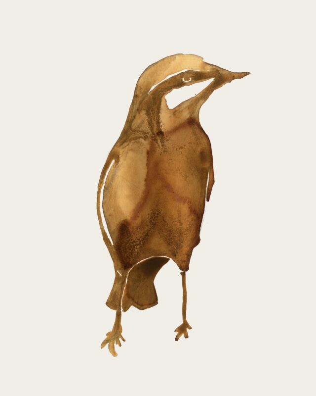 Sitelle torchepot, encres de rouille. 
[expérimentations d'encres naturelles]

#rouille #encresnaturelles #expérimentations #sitelletorchepot #aquarelle #recherches #projection #fresques
