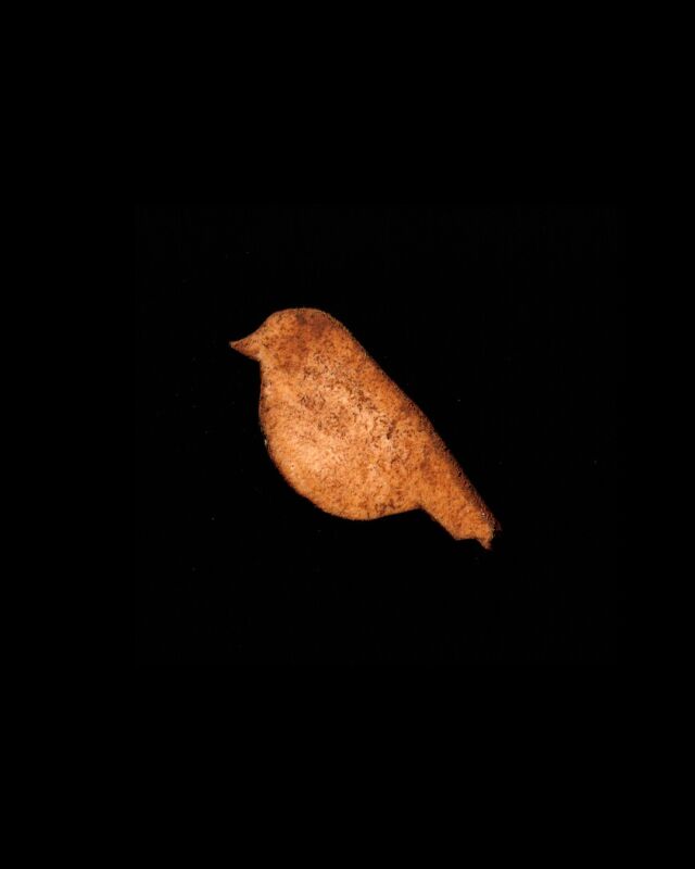 Moineau domestique, encres de rouille.
[expérimentations, création d'un tampon avec du linoleum]

#rouille #encresnaturelles #linogravure #linoleum #tampons #expérimentations #moineaudomestique #aquarelle #recherches #projection #impression #fresques